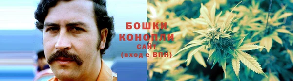 дмт Белокуриха