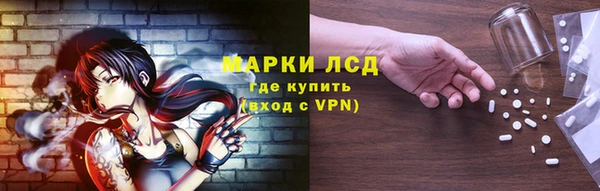 дмт Белокуриха