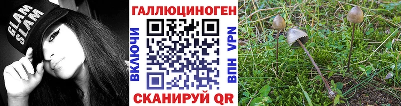 Псилоцибиновые грибы мицелий  Малмыж 