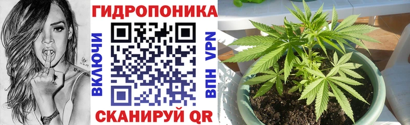 Марихуана Amnesia  blacksprut маркетплейс  Малмыж 